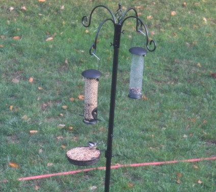 A black-capped chickadee eating seeds from a pan attached to a stand with multiple birdfeeders on it.