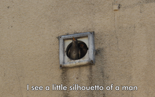 A lone baby starling in a vent with its mouth open like it is singing. Captioned "I see a little silhouetto of a man"