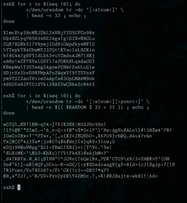 A terminal showing passwords generated on the command line.