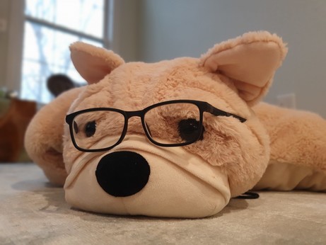 Stuffed dog wearing glasses.