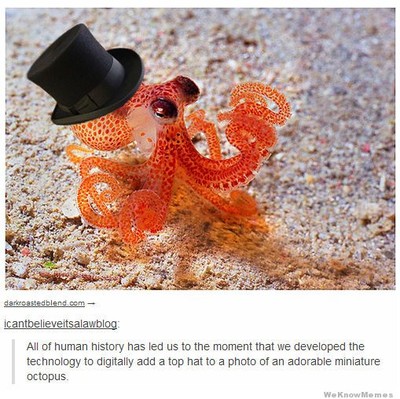 image: An venomous octupus wearing a top hat.
text: All of hman history has led us to the moment that we developed the technology to digitally add a top hat to a photo of an adorable minuiatur octopus.