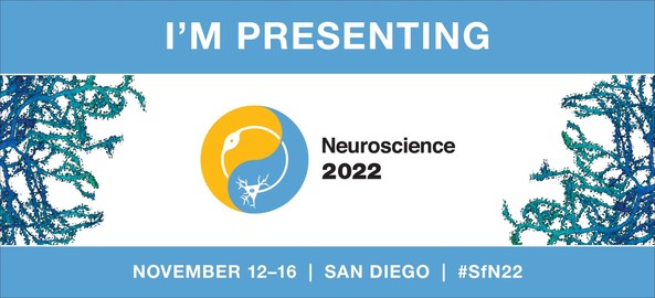 A large title reads "I'm presenting" with "Neuroscience 2022" in the center. A yellow and blue yin-and-yang style logo with a cell body and dendrites is in the center too. On the sides of the banner are green and blue 3D dendrites that almost look like pretty floral arrangements. On the bottom it reads: November 12-16 San Diego #SfN22