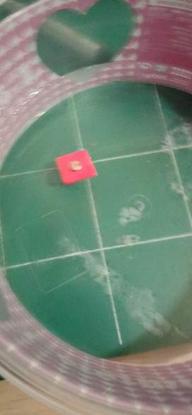 A magnet inside a raft made with EVA foam flosting in water as a way to check if it is diametrically or axially magnetized.