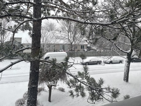 A street scene from the first significant snowfall of the season in Ottawa. There’s a layer of snow on everything including several cars and a van parked at the side of the road. In the foreground are a few trees with snow on the branches.