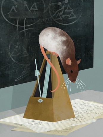 A rat sitting on top of a metronome, looking down at notebook pages with hand-written math diagrams.
Blackboard with faded symbols in the background.
