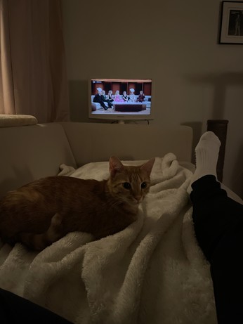 Die rote Katze und ich liegen auf dem Sofa und schauen Wetten dass