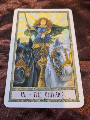The Chariot card from the Druid Craft Tarot deck 