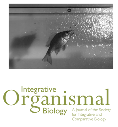 Journal cover for Integrative Organization Biology showing a b/w still of a damaged bluegill capturing a bubble.