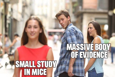 Distracted boyfriend meme with the frustrated girlfriend labeled "massive body of evidence" and the distraction girl is "small study in mice."