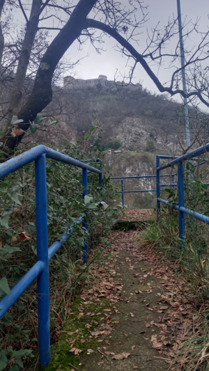 Castle viewed from a path with a railing underneath a tree.