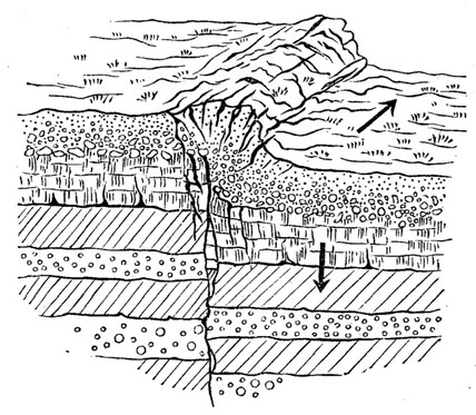 3D sketch of the surface earthquake rupture and mole-track. It clearly shows the link with the deeper tectonic fault