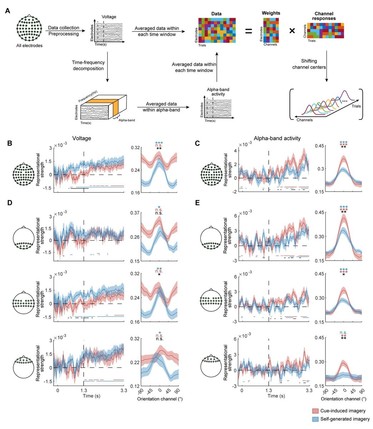 EEG analysis pipeline and results