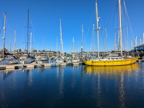 A view of a number of yachts moored up at Fox's Marina in Ipswich with cloudless blue sky and boat reflections in the calm water