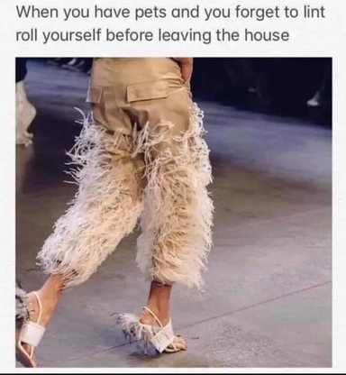 A person’s pants and shoes are covered in long, shaggy fur. Caption: When you have pets and forget to lint roll yourself before leaving the house.