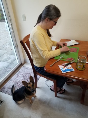 A small dog looks imploringly at the camera while a woman prepares meat and pickle hors d'oeuvres.