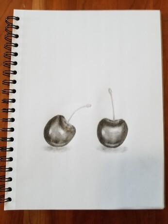 Pencil drawing of two shiny cherries.