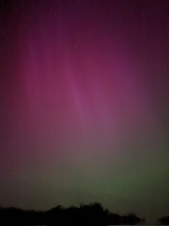 The Aurora Borealis seen facing North-West from a hill outside Newton Abbot. There is a dark tree-lined skyline at the bottom of the image, the aurora fill the sky above. The aurora is red with brighter vertical lines in the centre and towards the top of the image, greenish towards the bottom.