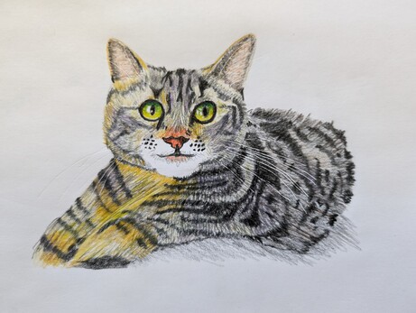 Colored pencil drawing of a striped cat with green eyes.