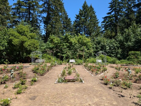 An ornamental rose garden, complete with cherubs and whatnot