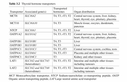 Table from the book "Hypothyroidism – a Paradigm Shift" by Hoermann and Dietrich: Eleven types of transporters with different hormone- and tissue-specificity carry thyroid hormones through cell membranes.