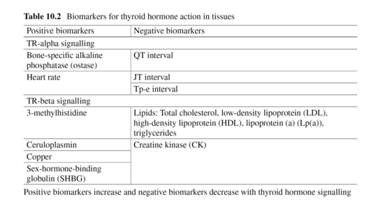 Positive and negative biomarkers for thyroid hormone action in tissues. Positive biomarkers for TR-alpha signalling include bone-specific alkaline phosphatase (ostase) and heart rate, negative biomarkers for TR-alpha signalling comprise QT interval, JT interval and TP-e interval in the ECG. Positive biomarkers for TR-beta signalling are 3-methylhistidine, coeruloplasmin, copper and sex-hormone binding globulin (SHBG), negative biomarkers for TR-beta signalling include lipids (total cholesterol, low-density lipoprotein [LDL], high-density lipoprotein [HDL], lipoprotein a [Lp(a)] and triglycerides) and creatine kinase (CK).