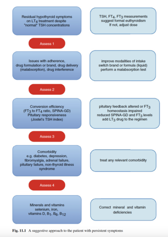 Therapeutic flow chart: Proposed algorithm for the treatment of syndrome T (SORSHOT). The approach includes optimising dosage and modality of treatment, considering treatment with L-T3, treating common and important comorbidities and correcting mineral and vitamin deficiencies.